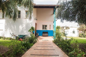 Hotels in Kinneret
